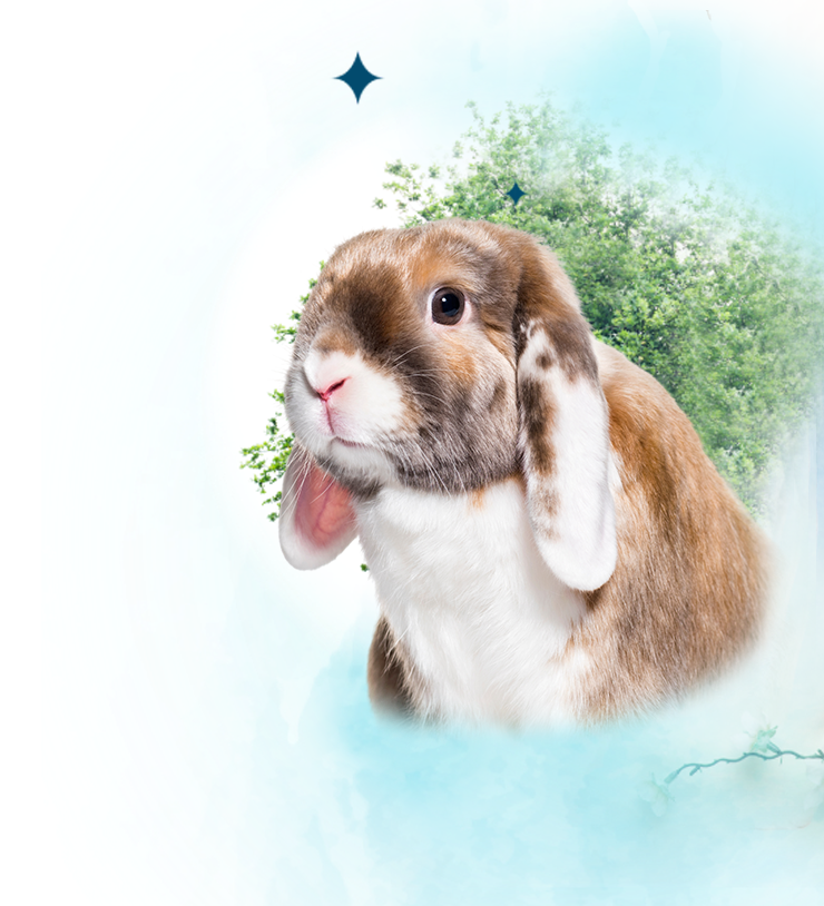 know banner