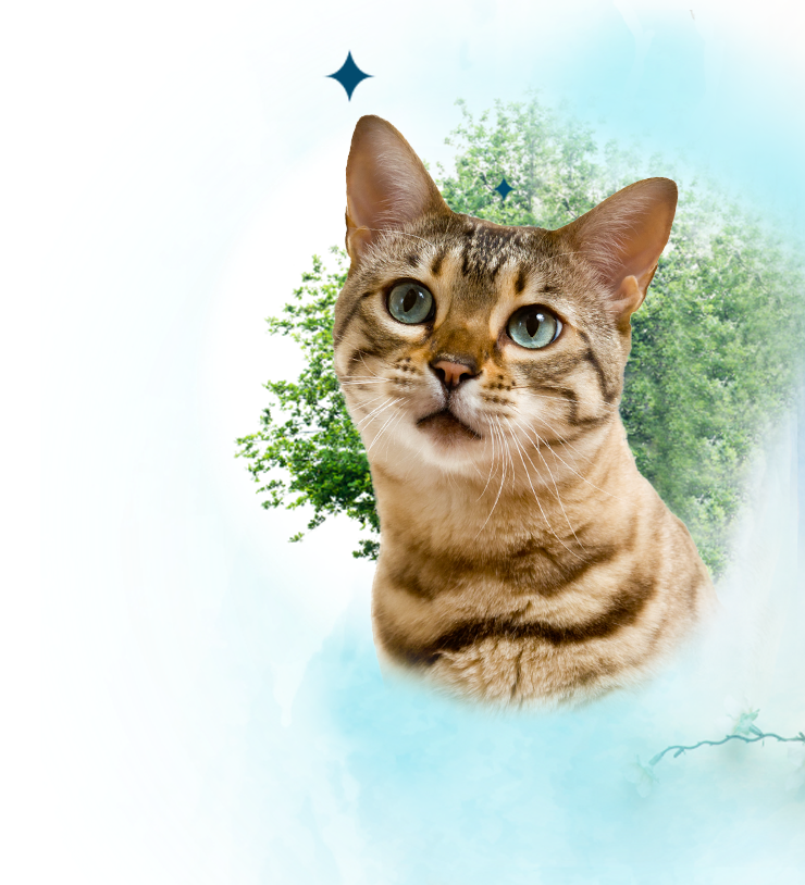 know banner