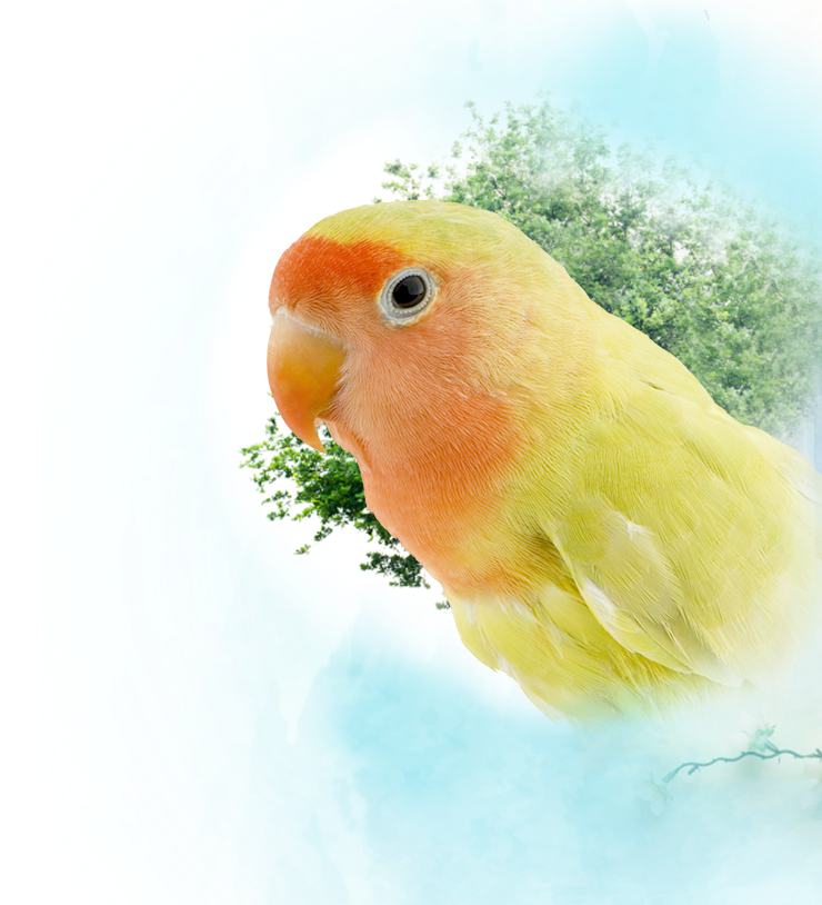 know banner